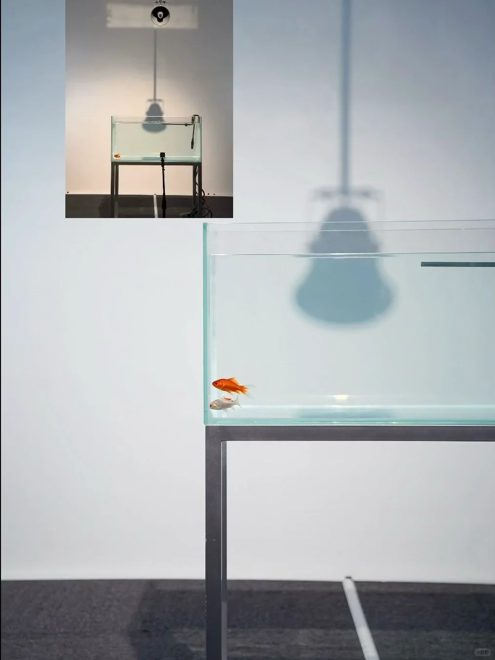 近期看过最震撼的数字艺术展！（赠?票