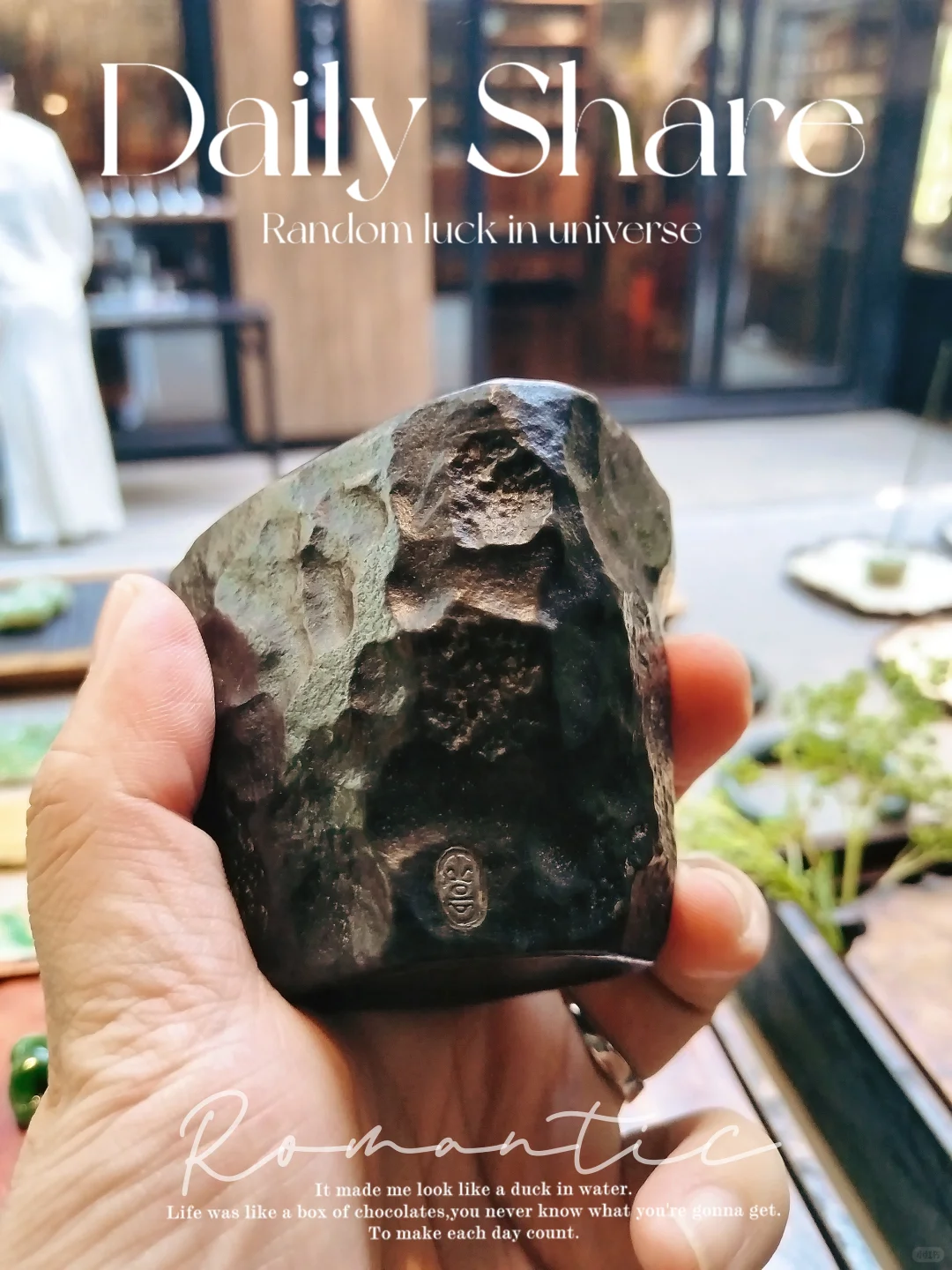 第二届中国工夫茶博览会今日收获