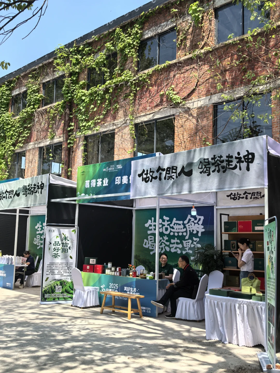 信阳茶叶博览会暨2025中国绿茶品牌大会