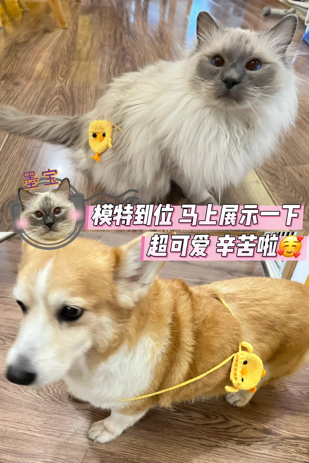 2025哈尔滨美博会