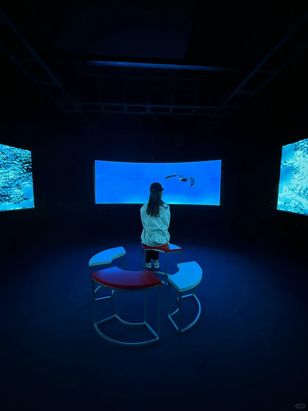 近期看过最震撼的数字艺术展！（赠?票