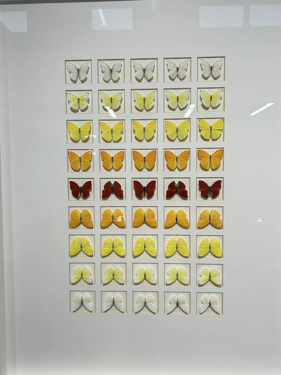 看看生物重生艺术展～