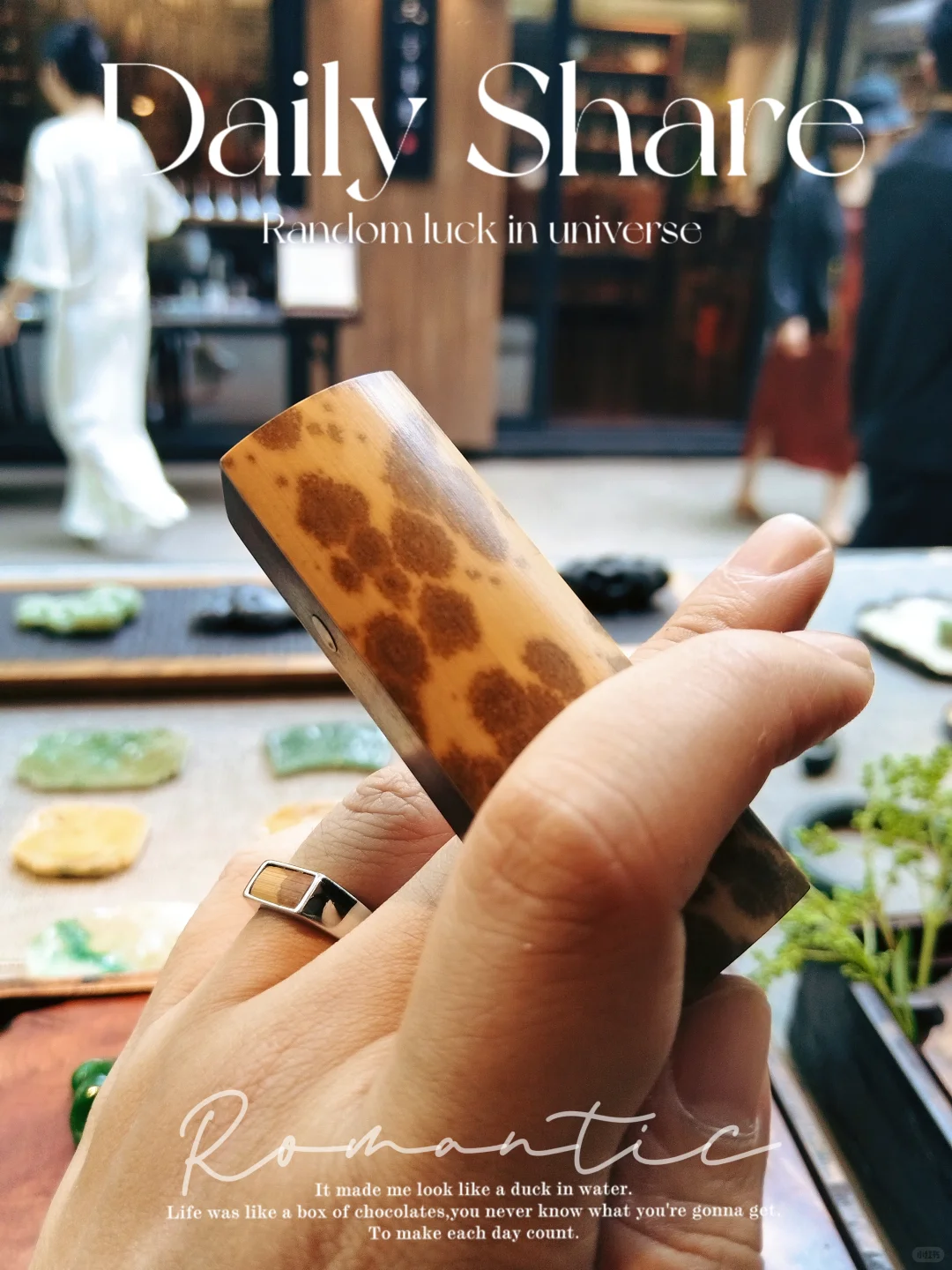 第二届中国工夫茶博览会今日收获