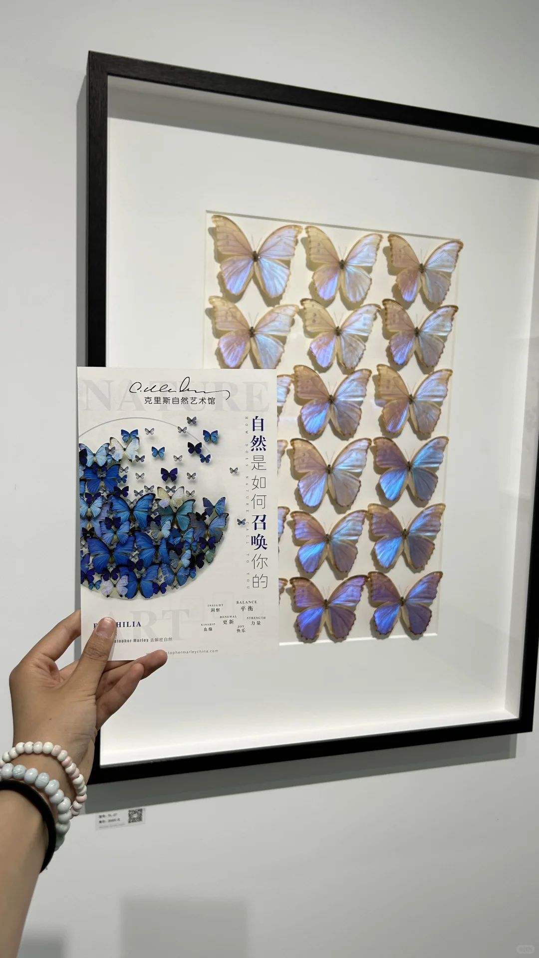 看看生物重生艺术展～