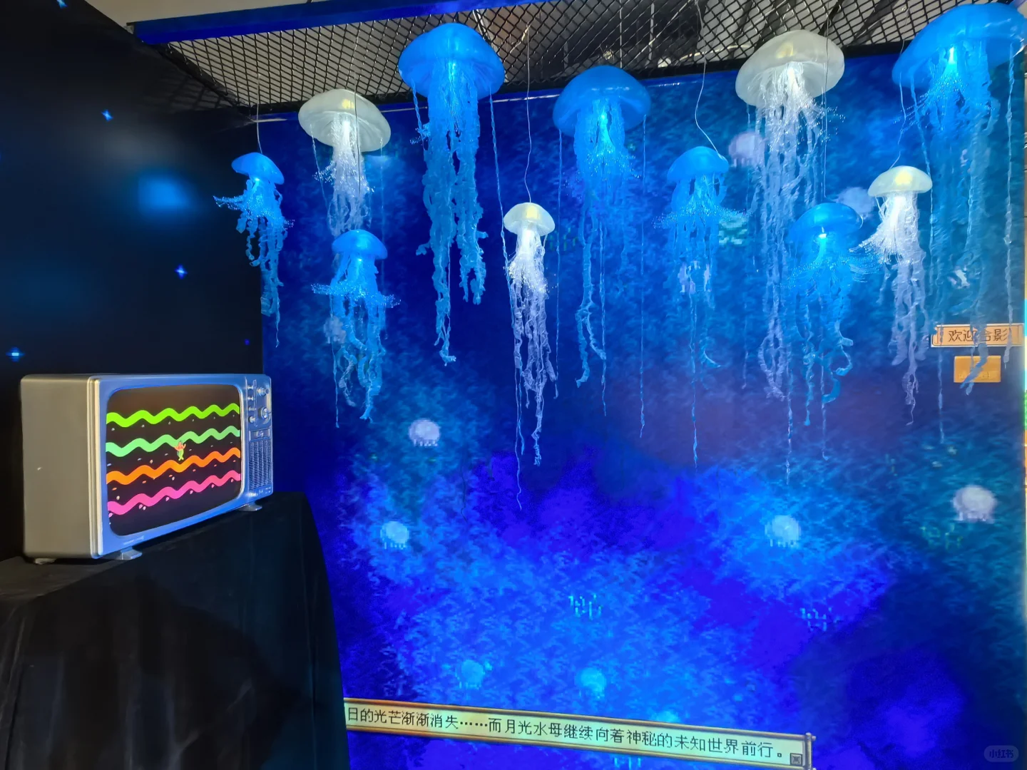 上海星露谷展览会留念