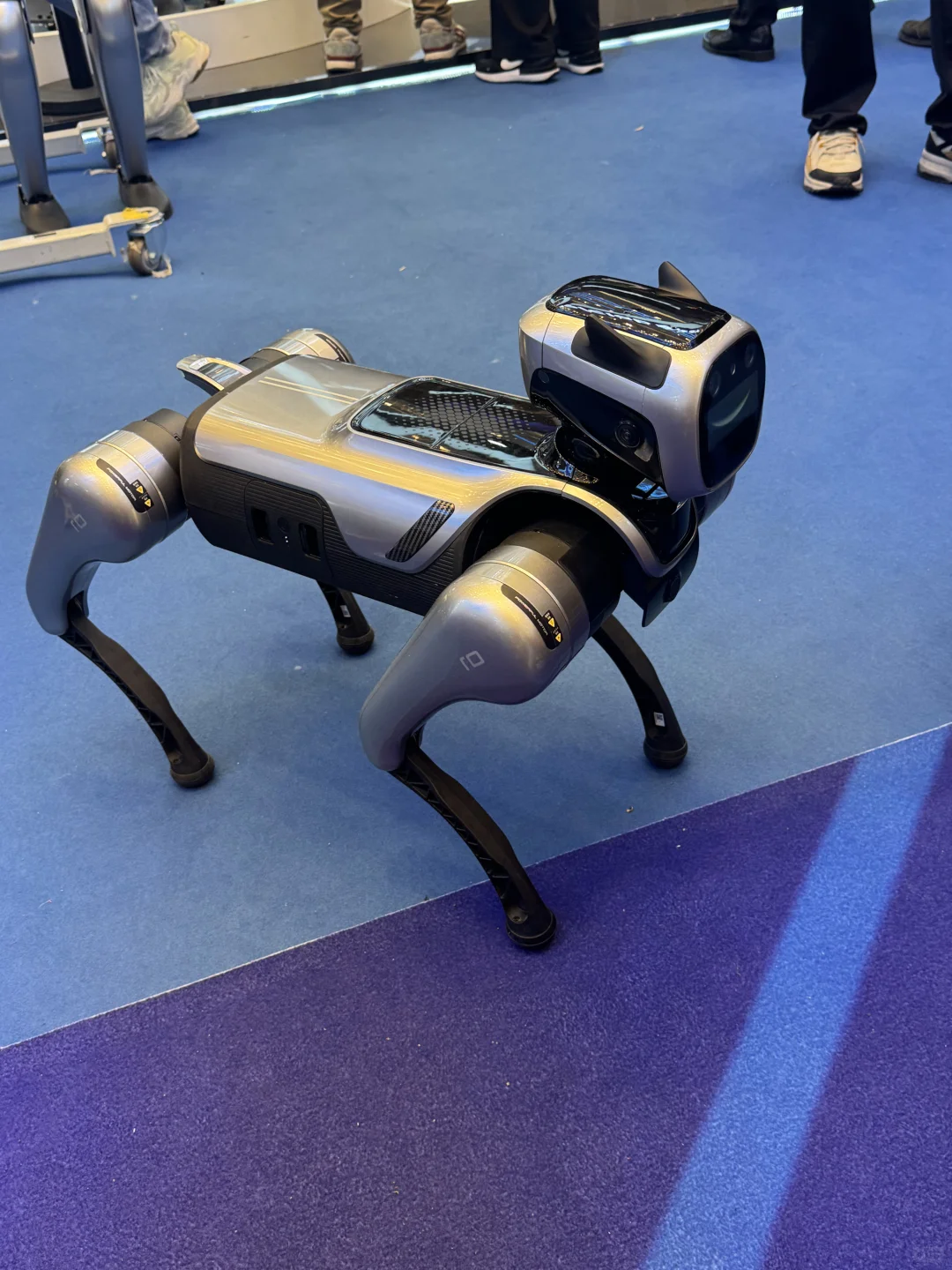 02女研 广交会15天怒赚2.2w