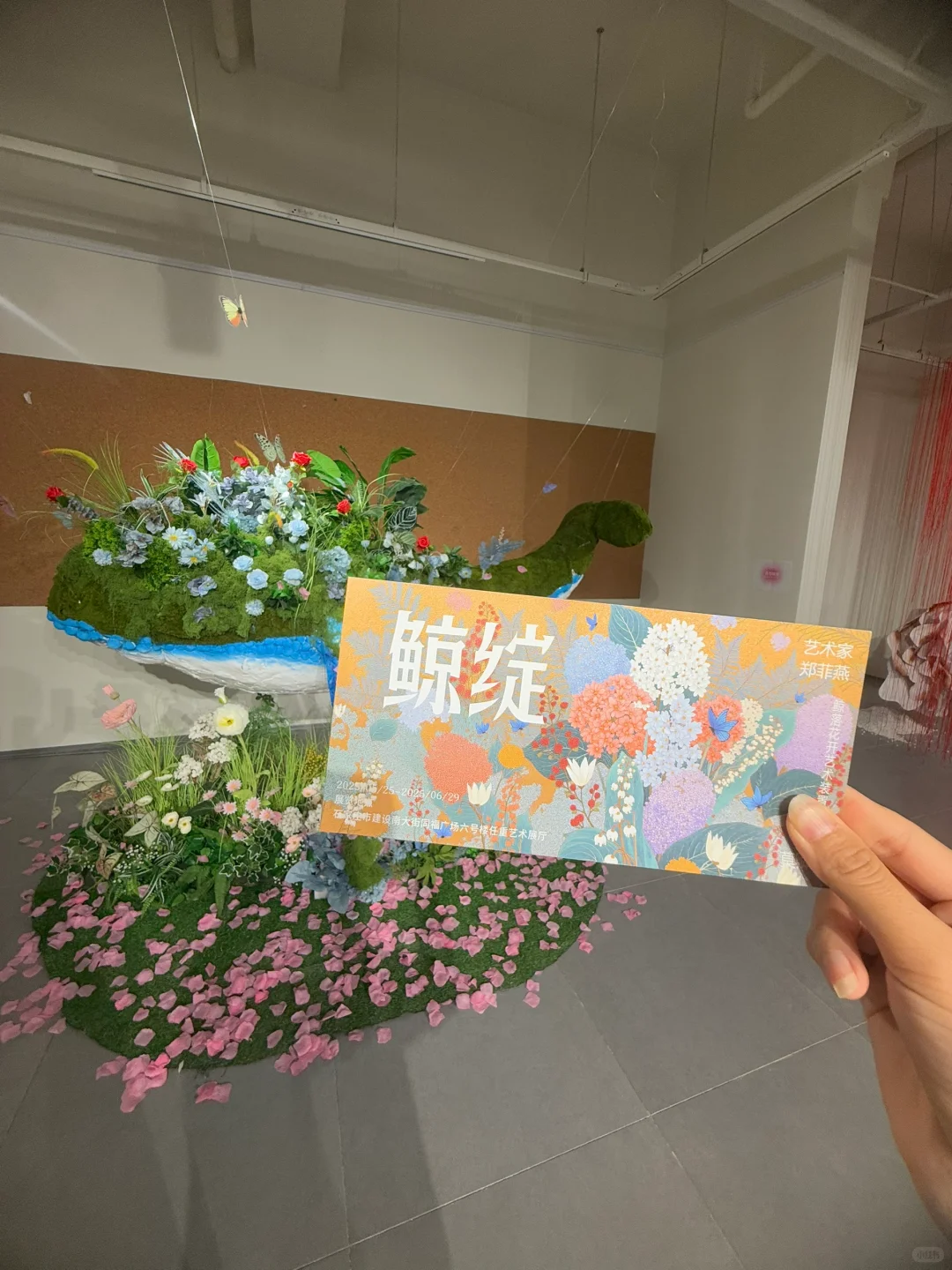 石家庄新展|“鲸绽”? 敲敲敲出片～