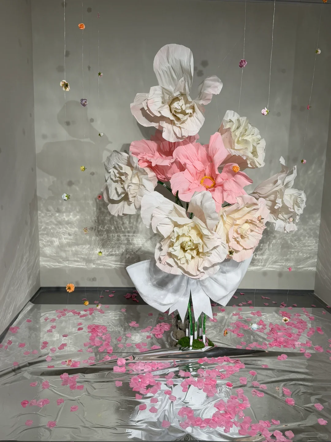 石家庄新展|“鲸绽”? 敲敲敲出片～