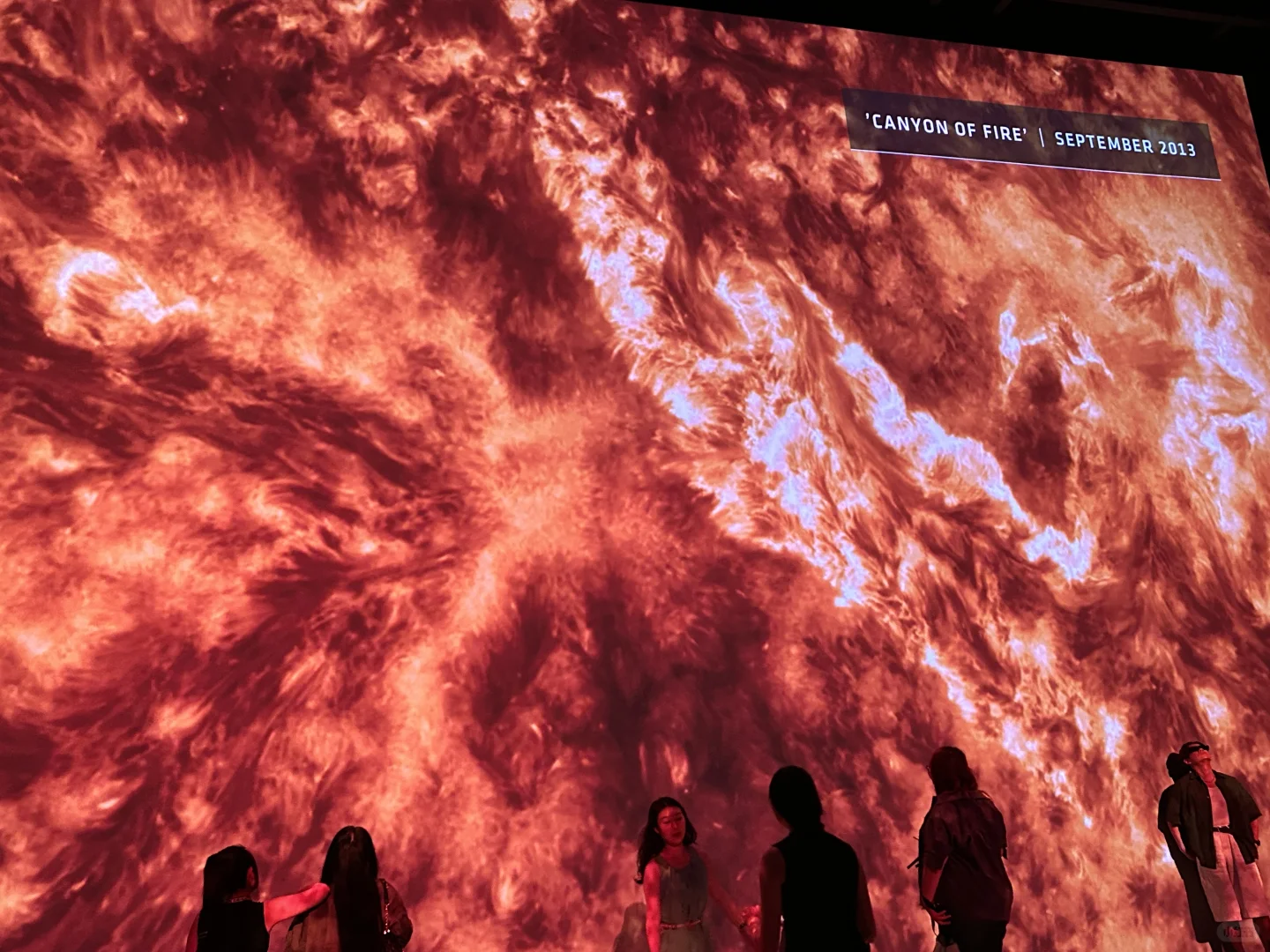 这座展览真的太震撼了?