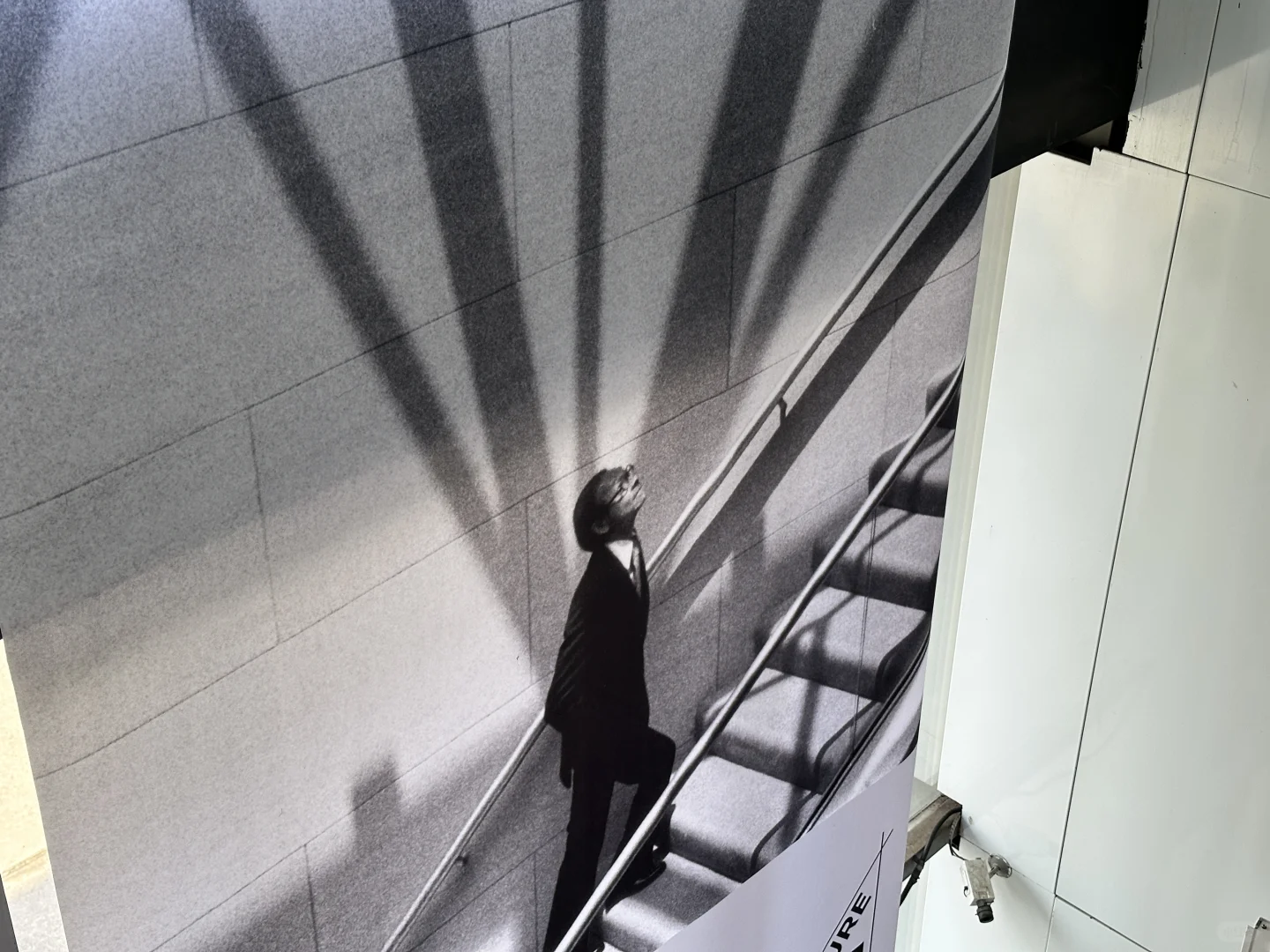 这可能是上海这两年最好的展览！