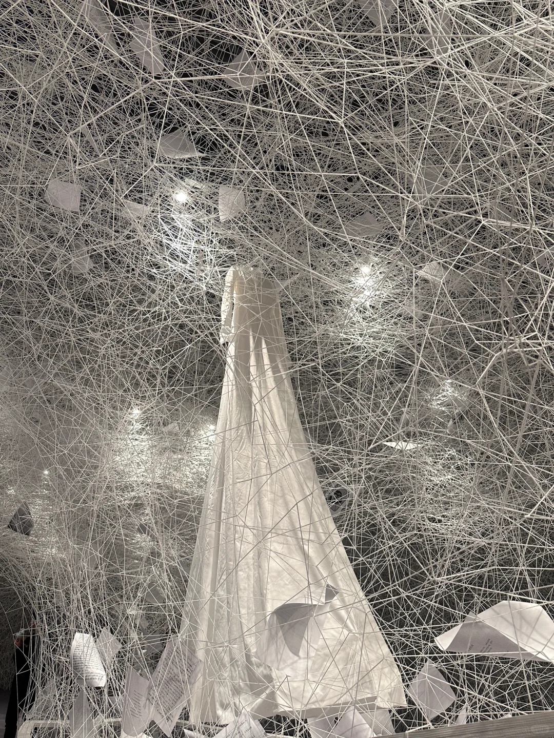 深圳地铁直达?近期超震撼?新展❗️免预约