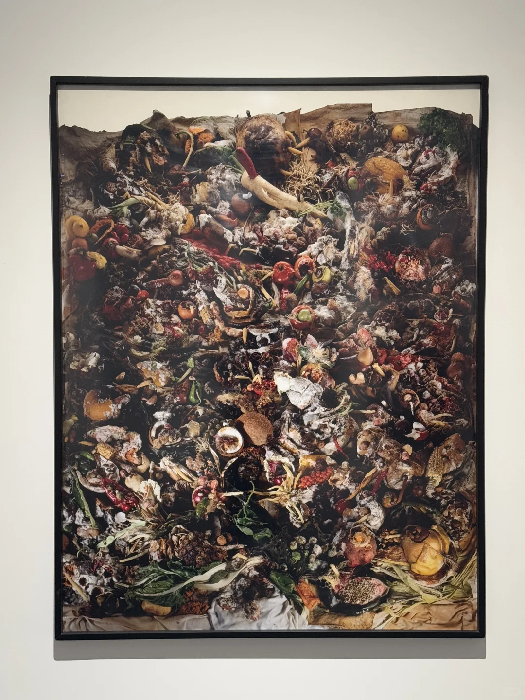 IAG艺术院线CC基金会2024年度展览项目