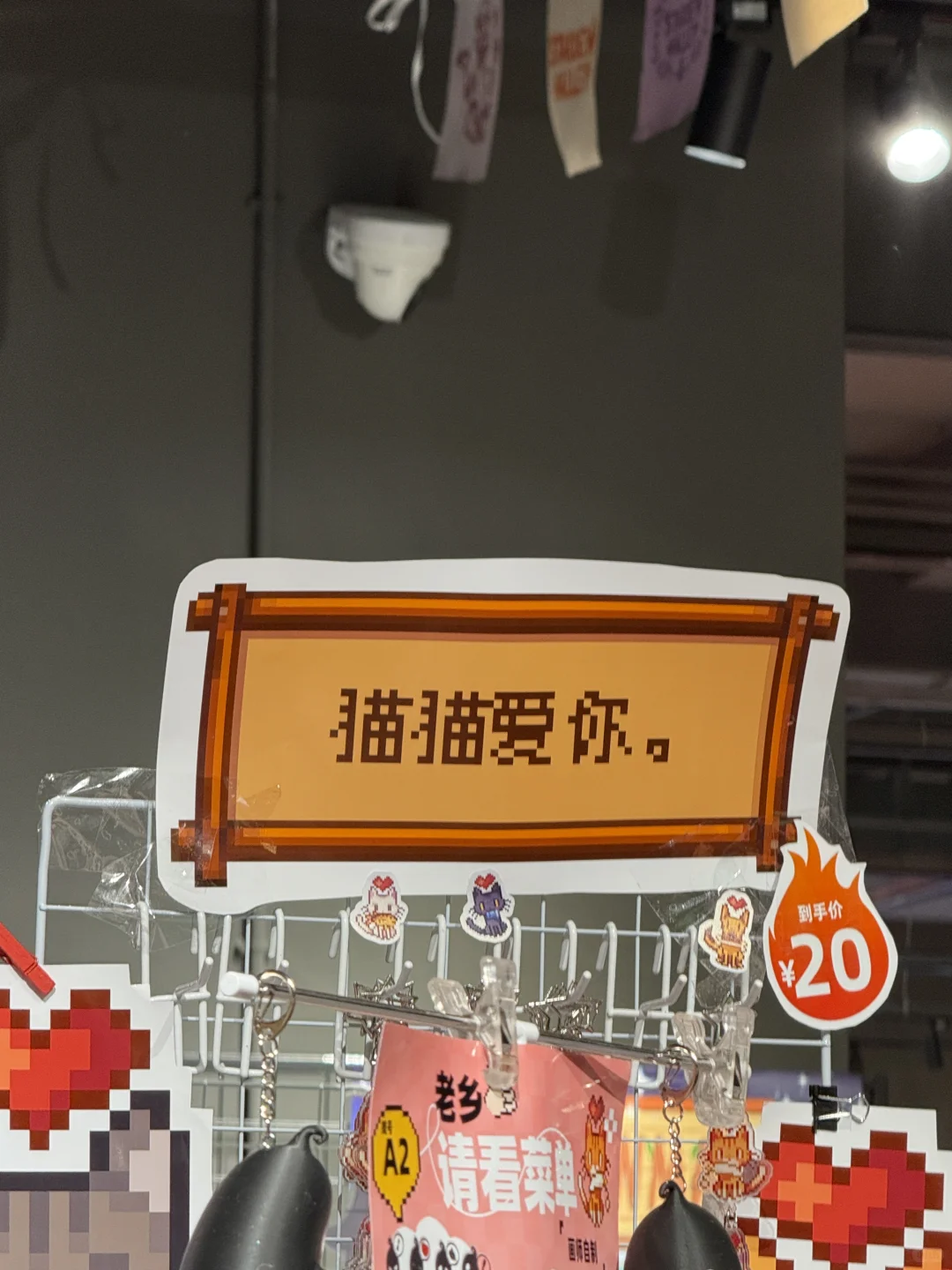 星露谷物语博物馆展览会