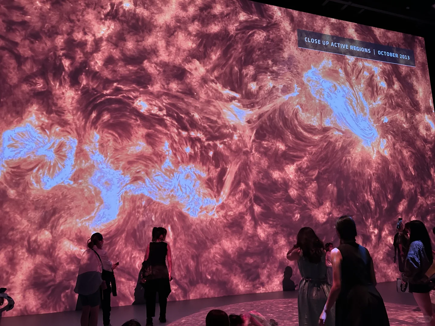 这座展览真的太震撼了?