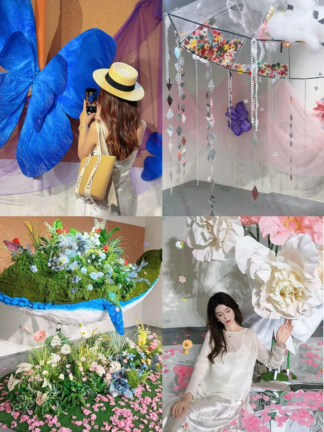 石家庄新展|“鲸绽”? 敲敲敲出片～