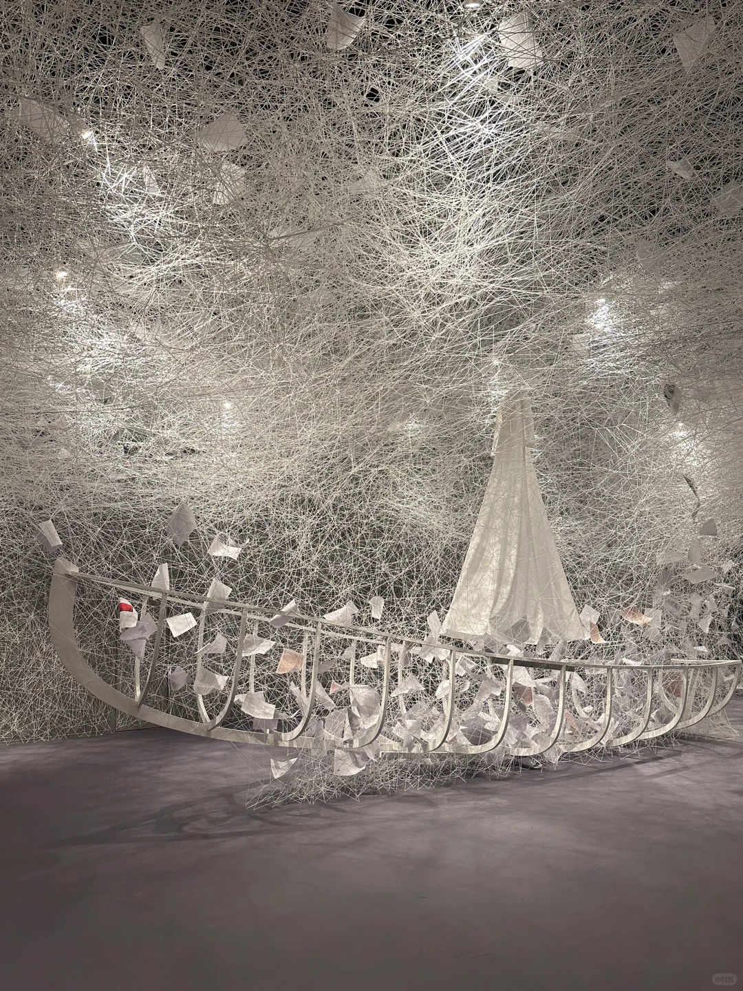 深圳地铁直达?近期超震撼?新展❗️免预约