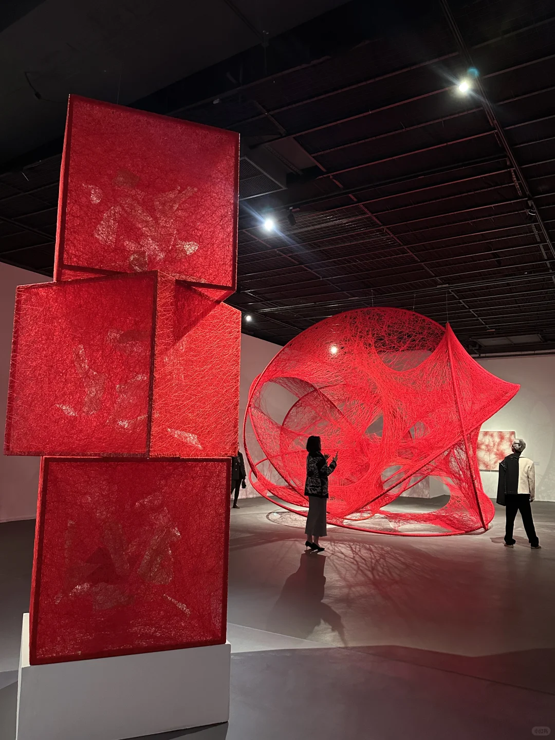 深圳地铁直达?近期超震撼?新展❗️免预约