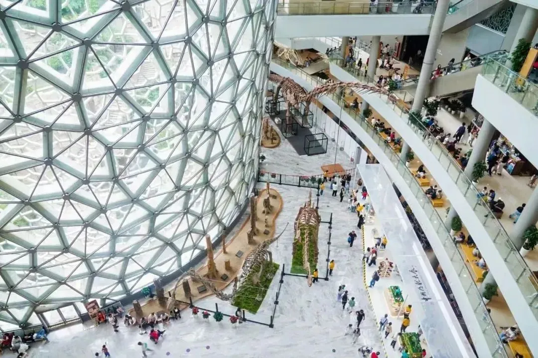 中国恐龙大展5月31日起正式开放→