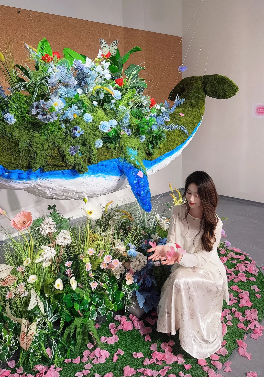 石家庄新展|“鲸绽”? 敲敲敲出片～