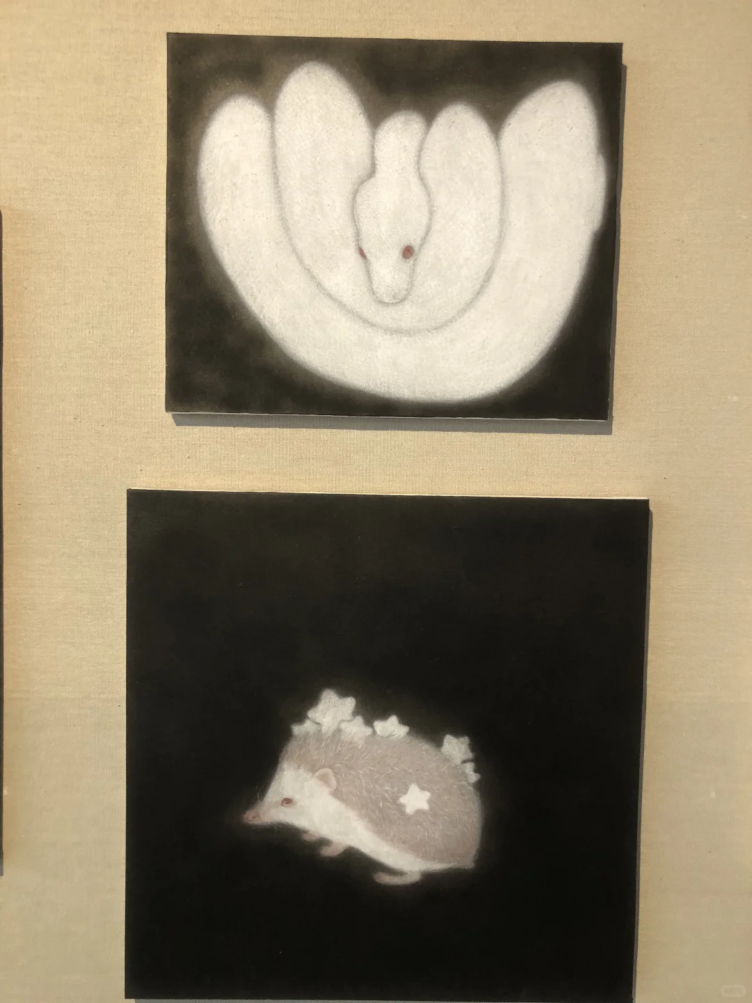 天津免费艺术展?天美毕业展开始啦?️