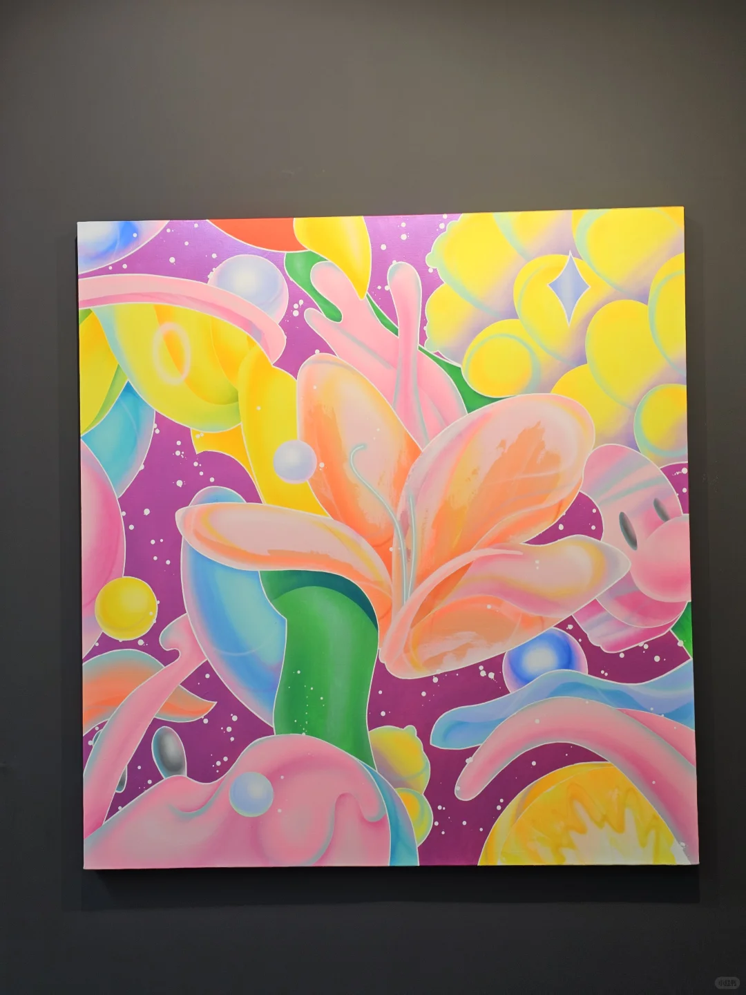 北京看展｜凹凸