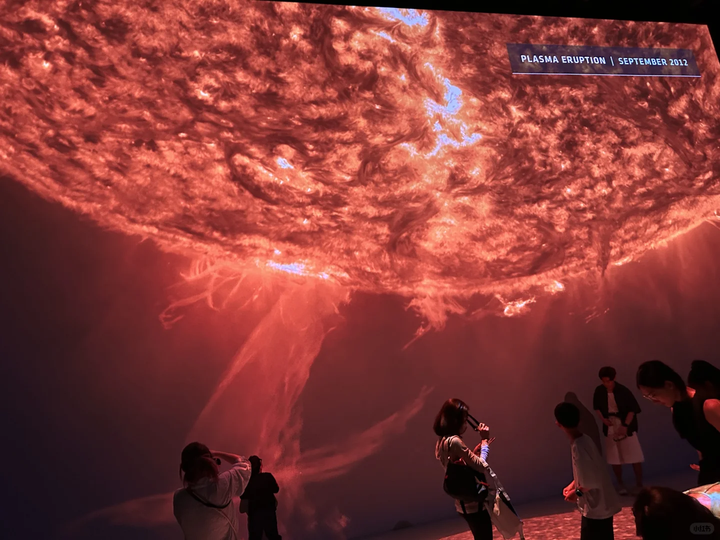 这座展览真的太震撼了?