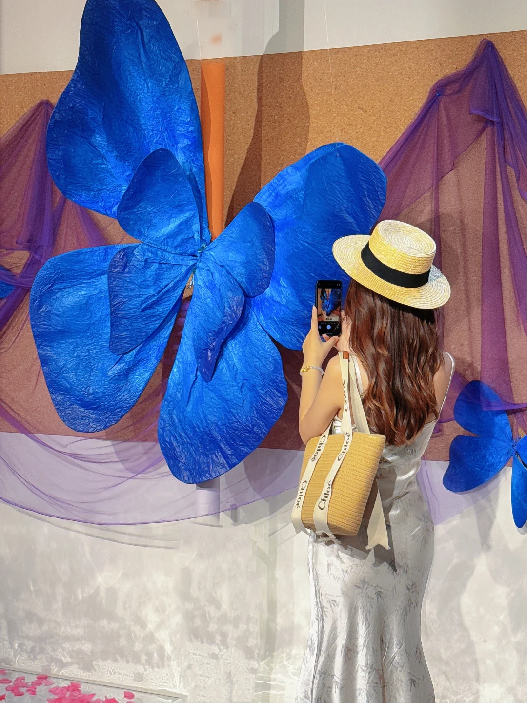 石家庄新展|“鲸绽”? 敲敲敲出片～