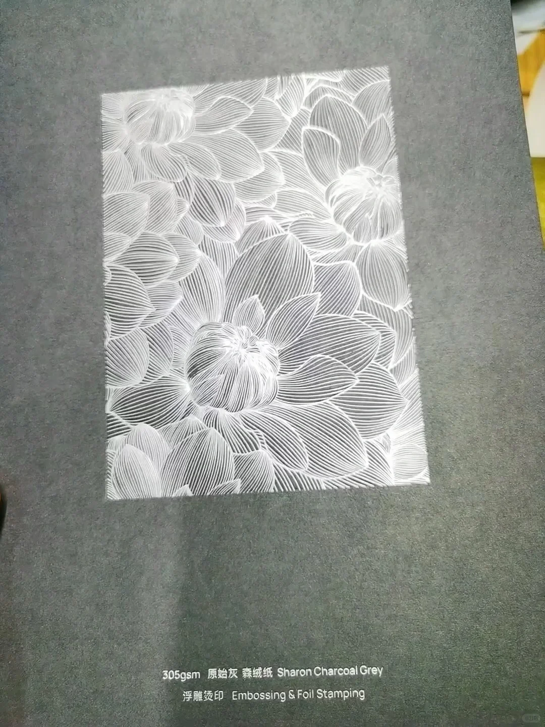 二次元勇闯北京印刷展 高效找厂看工艺