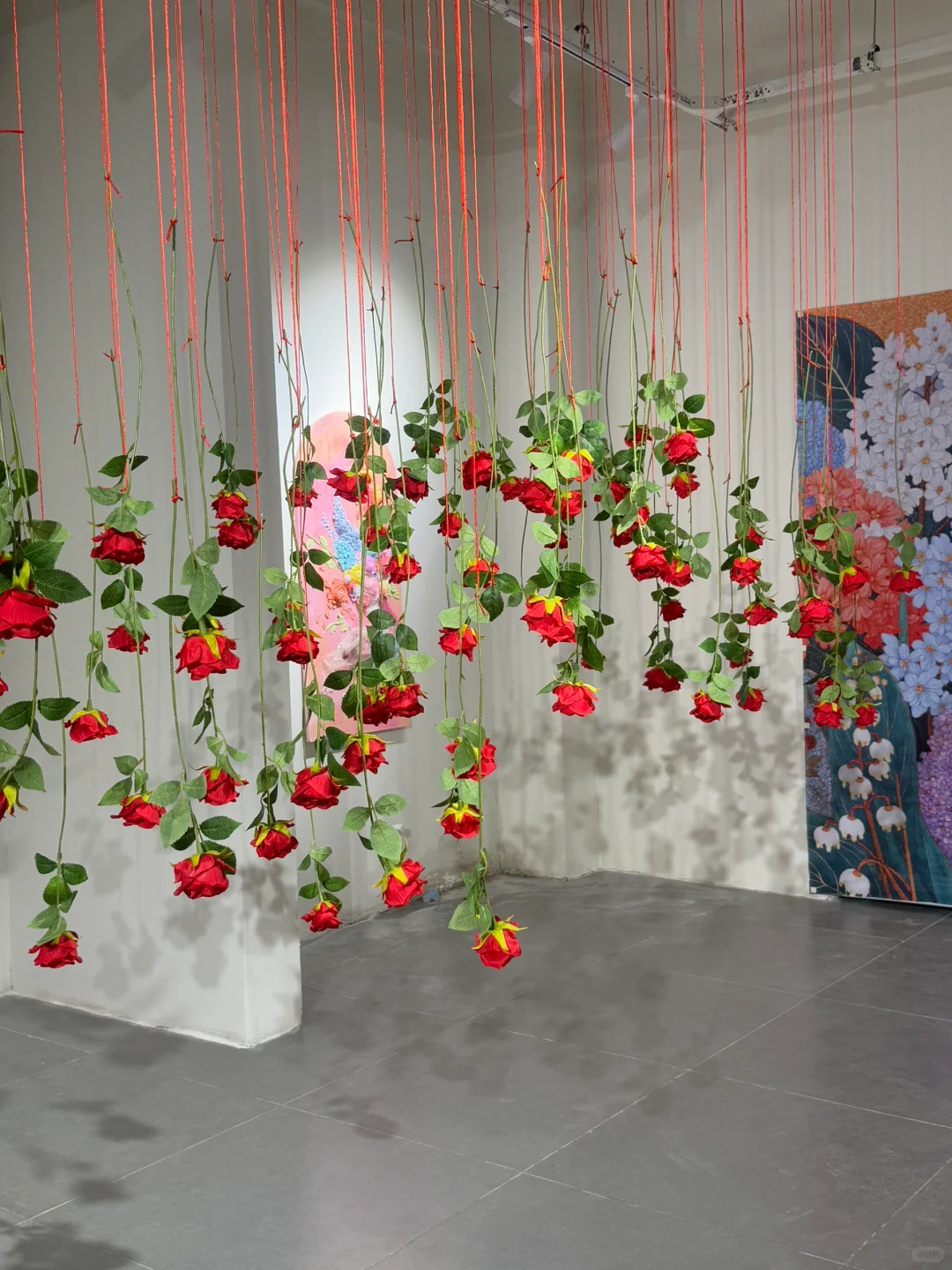 石家庄新展|“鲸绽”? 敲敲敲出片～