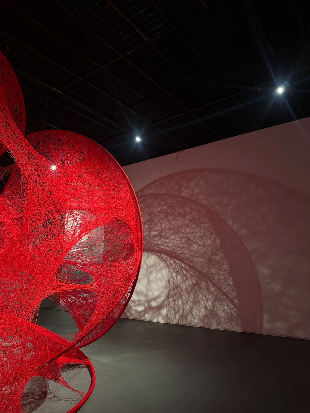 深圳地铁直达?近期超震撼?新展❗️免预约