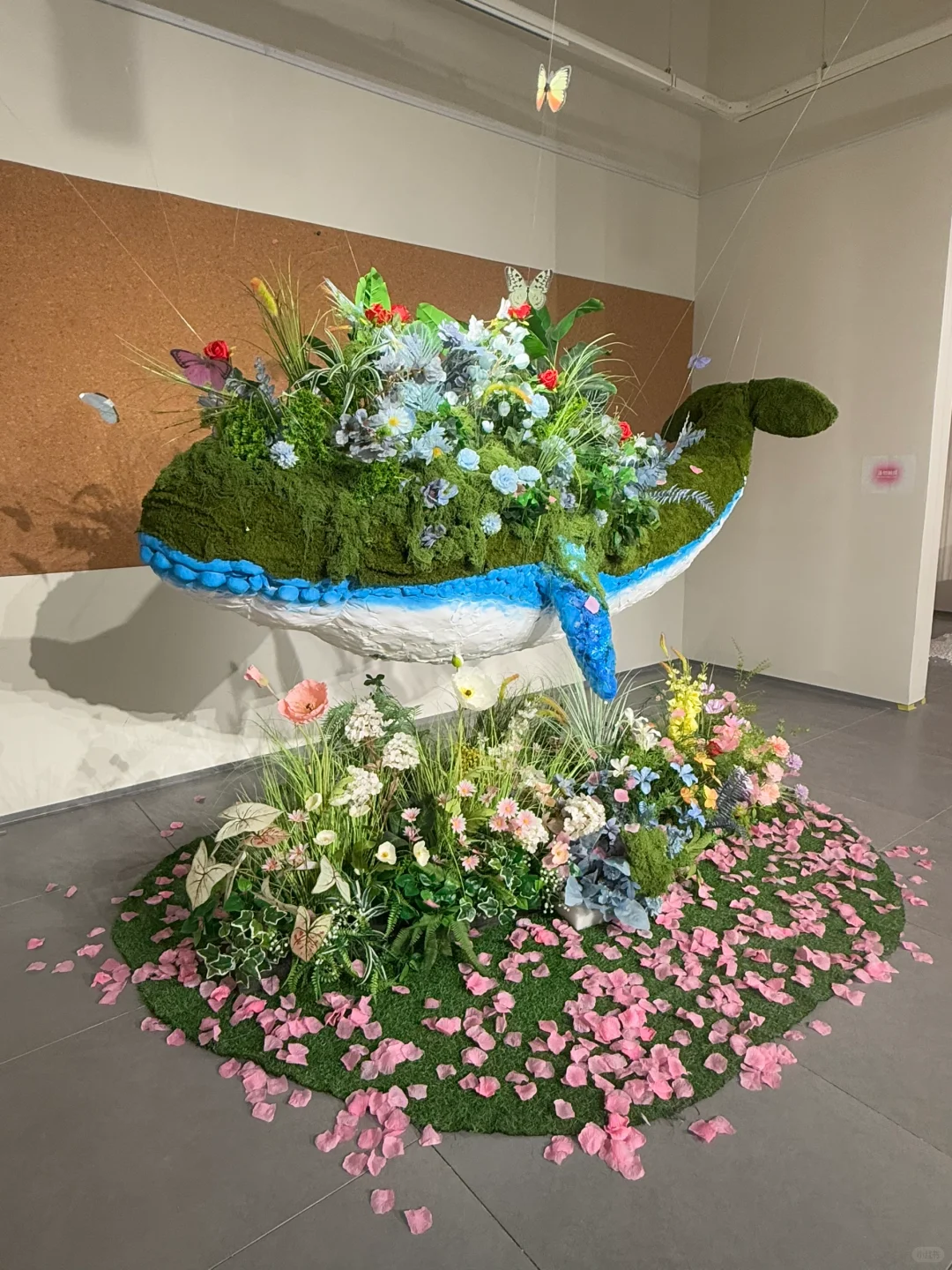 石家庄新展|“鲸绽”? 敲敲敲出片～