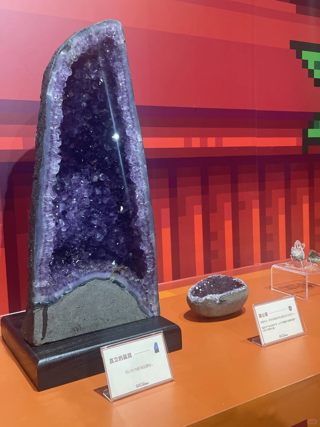 上海星露谷物语博物馆展览会