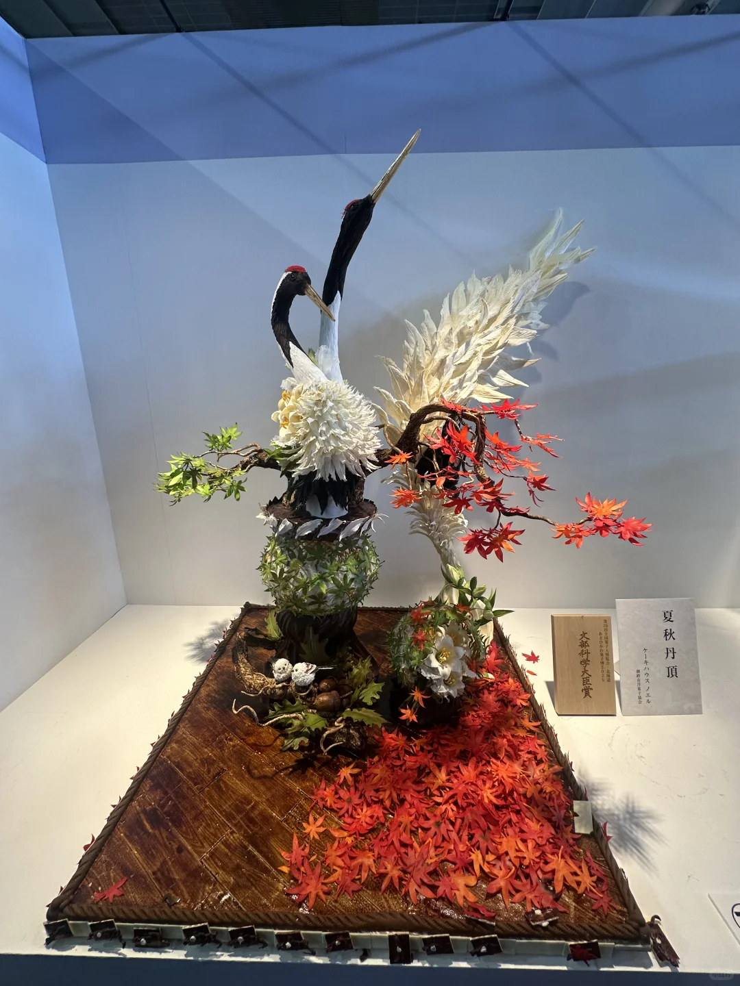 从北海道回来啦～全国果子博览会