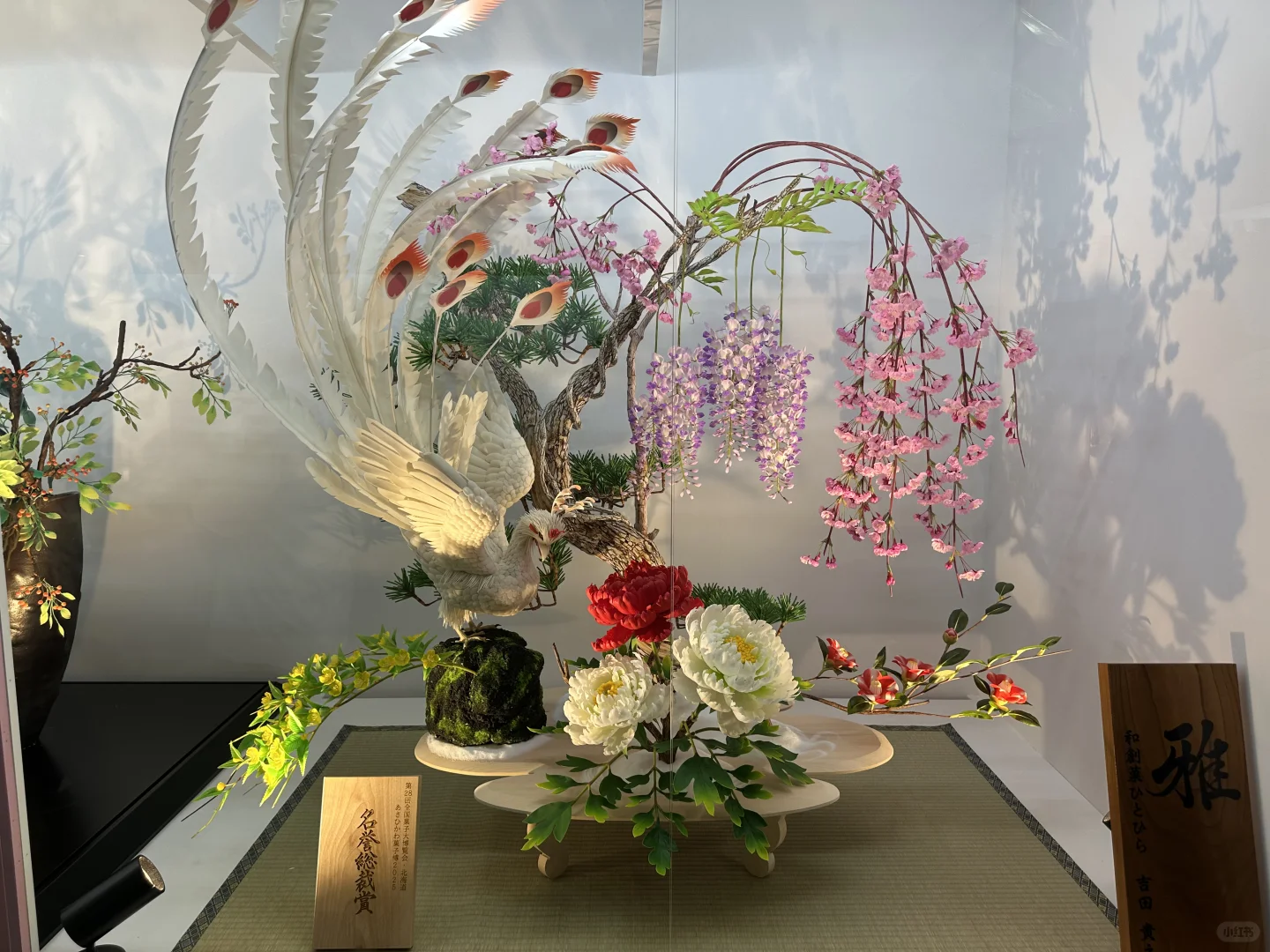 从北海道回来啦～全国果子博览会