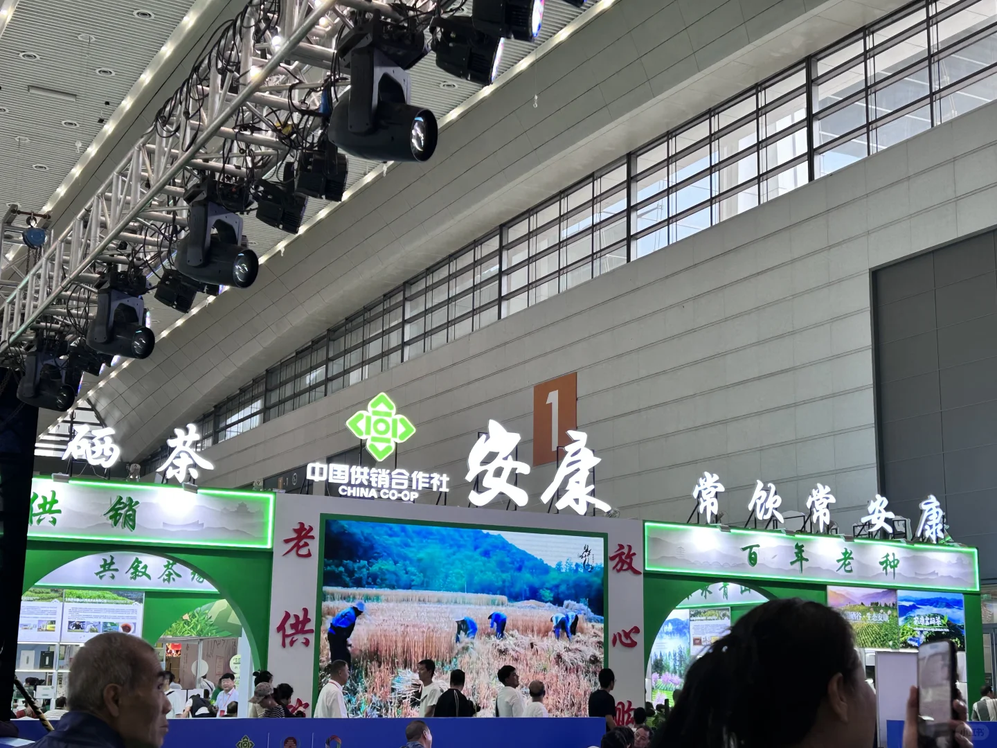 奔赴一场茶香之约!西安茶博会好逛到挪不开