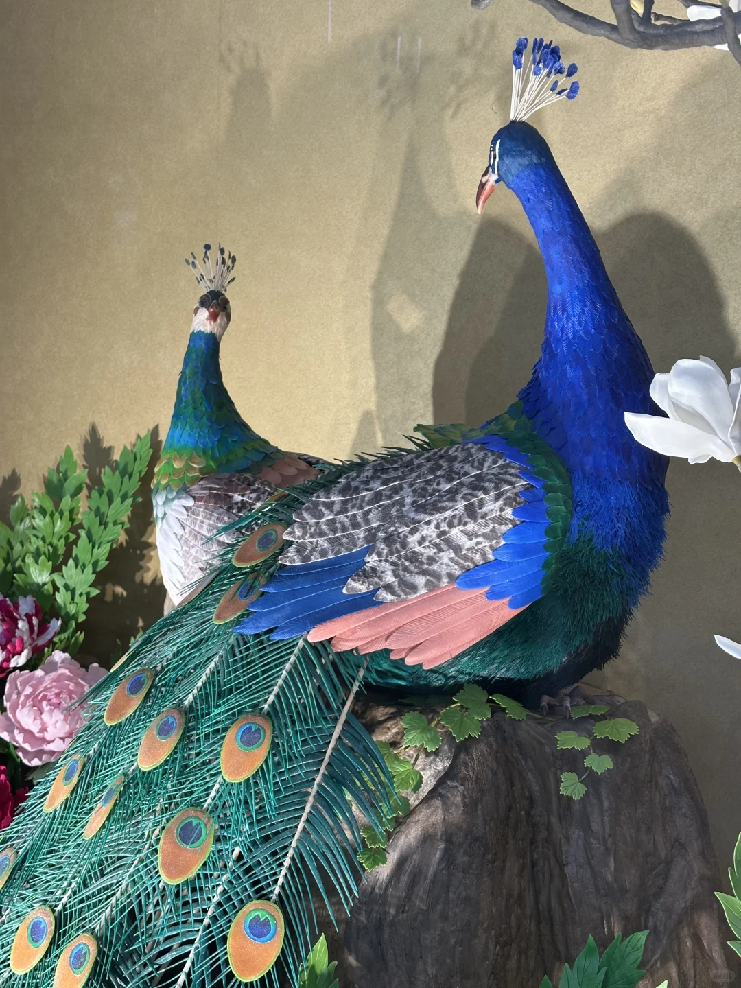 从北海道回来啦～全国果子博览会