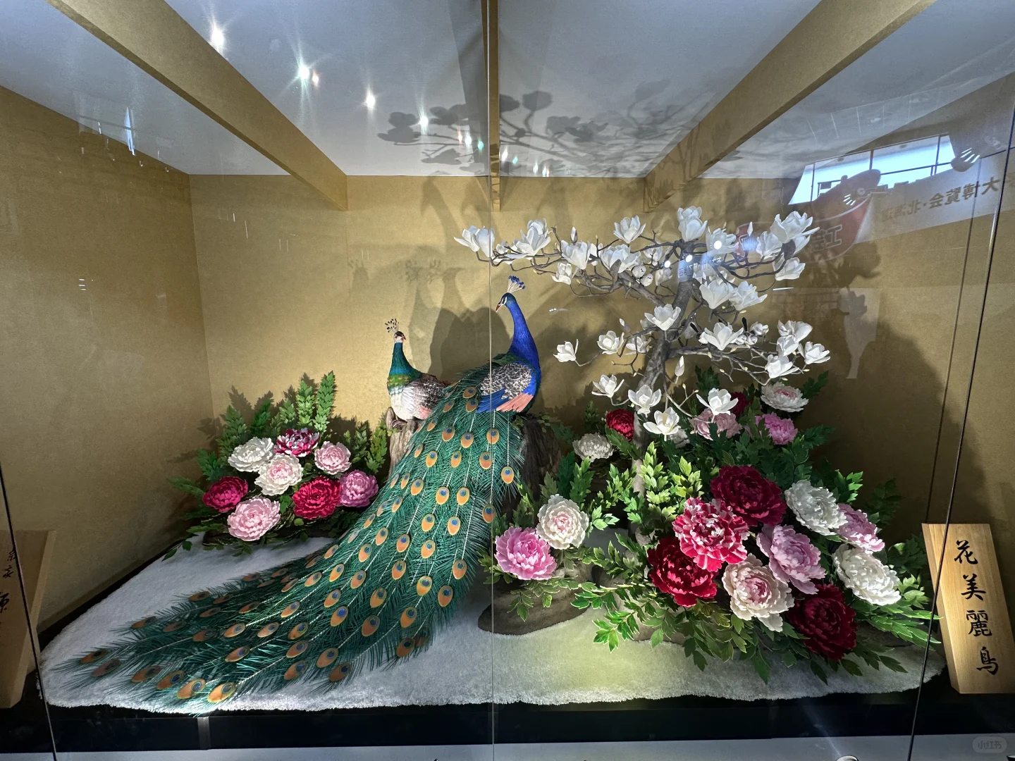 从北海道回来啦～全国果子博览会