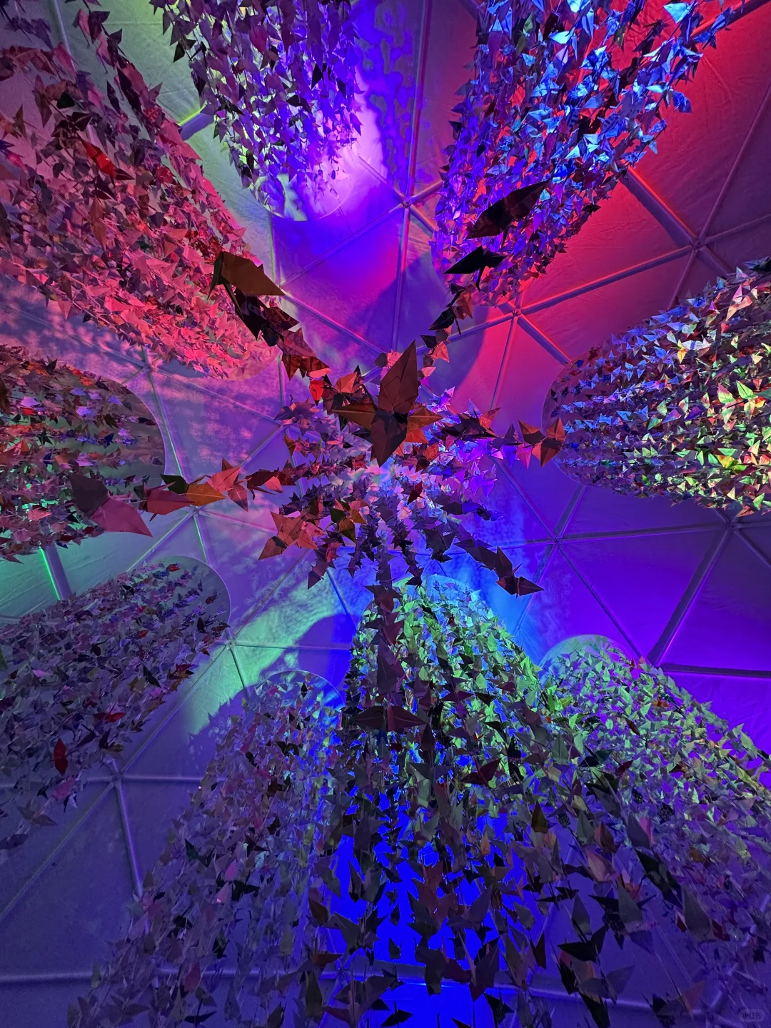 从北海道回来啦～全国果子博览会