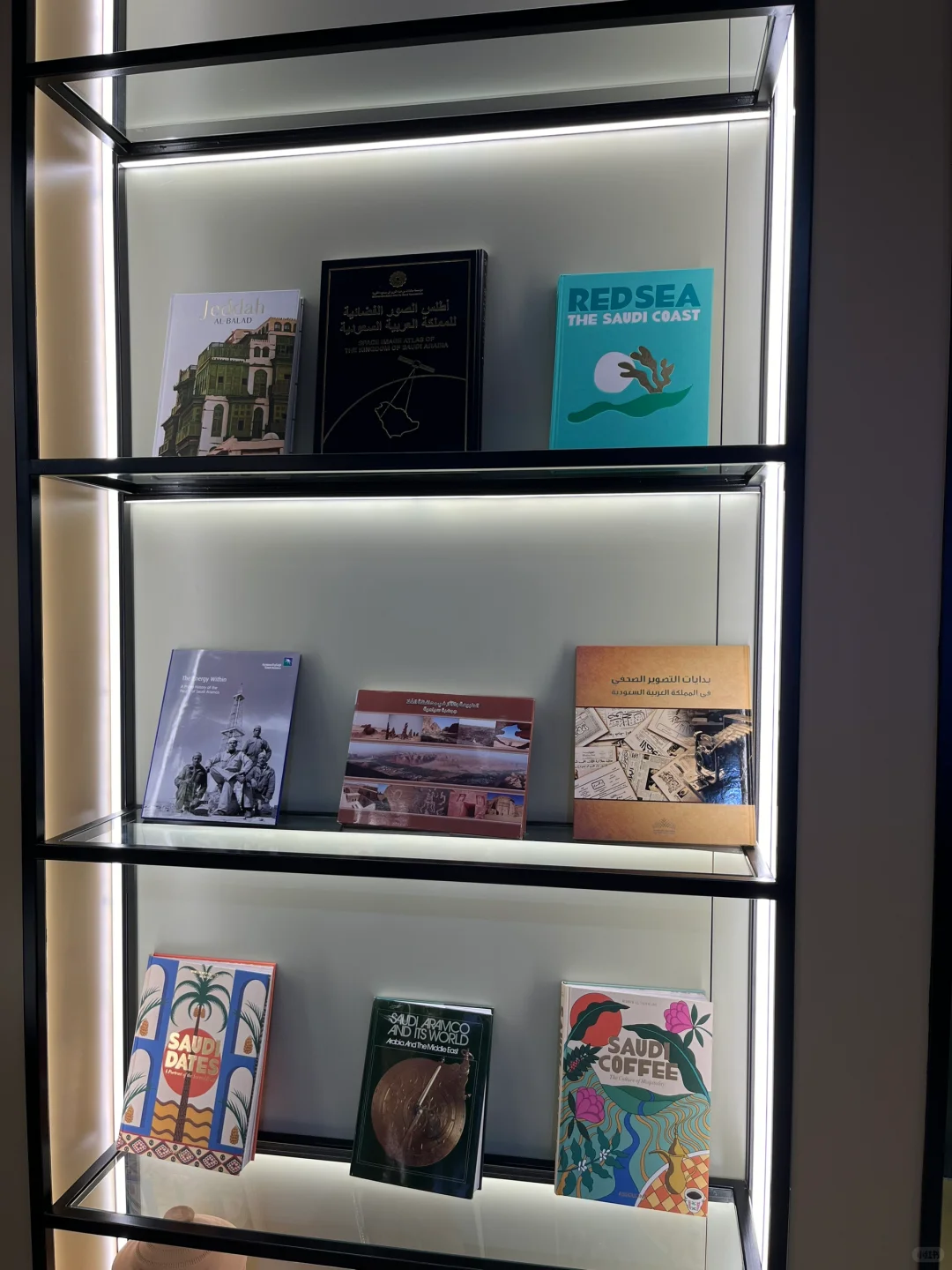 图书编辑的日常4#