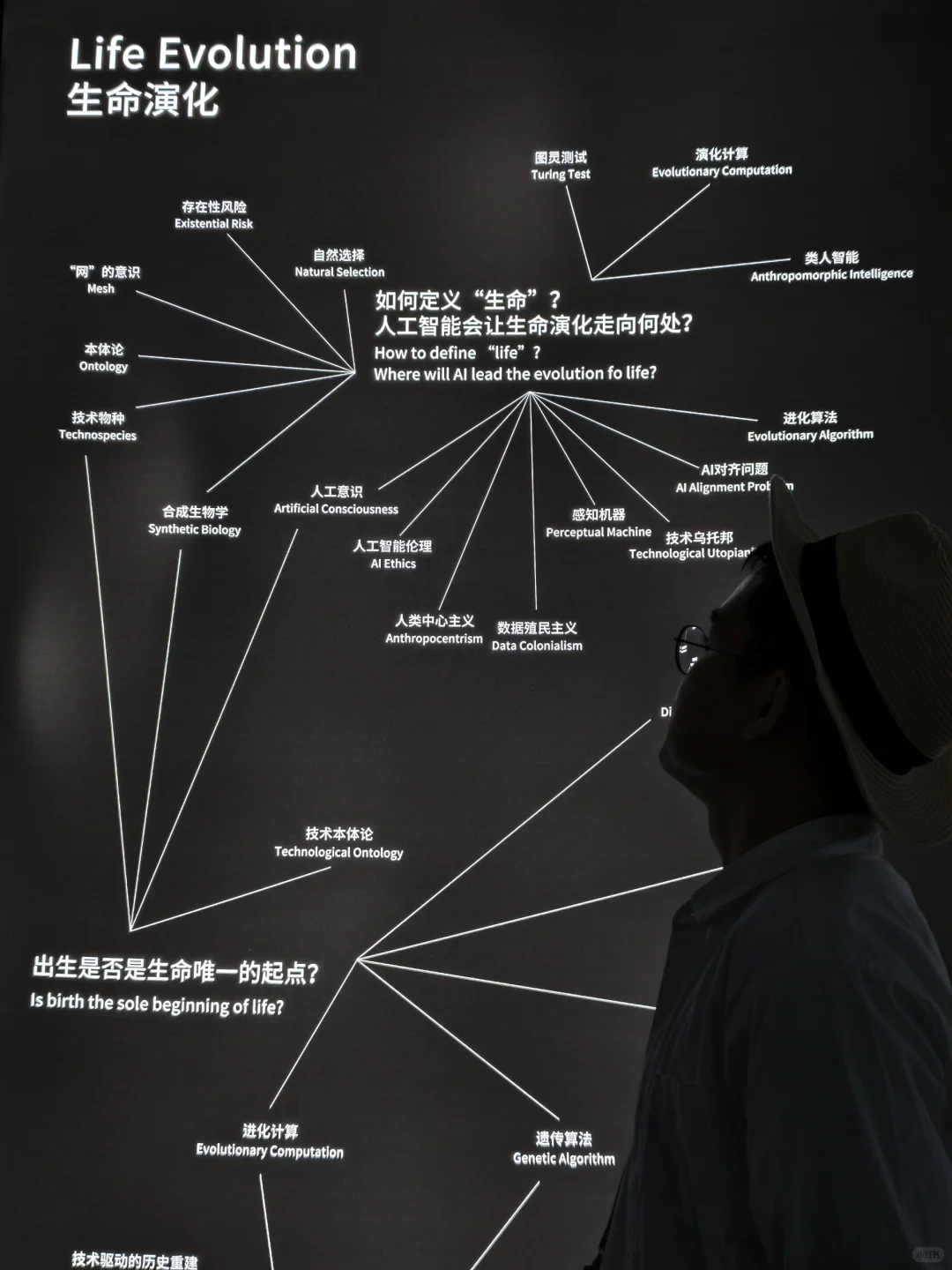 在珠海❗美到失语的数字艺术展✨