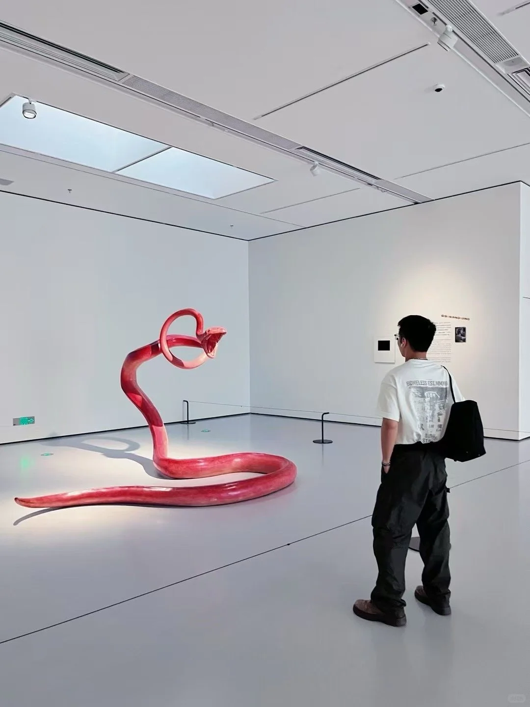 超出预期，才是好的展览！