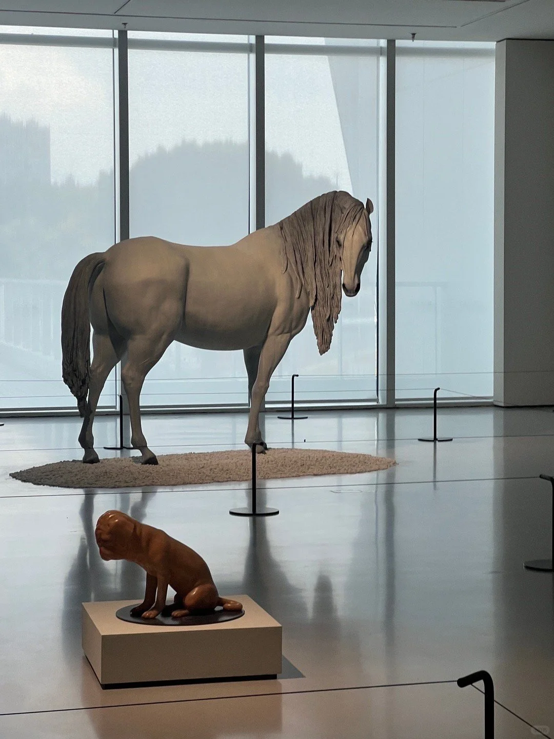 超出预期，才是好的展览！