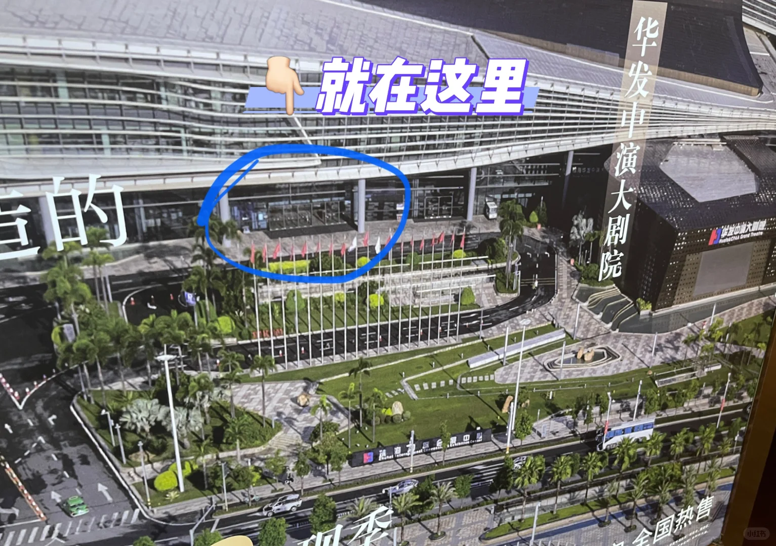 ?原来珠海会展也有蛋挞卖