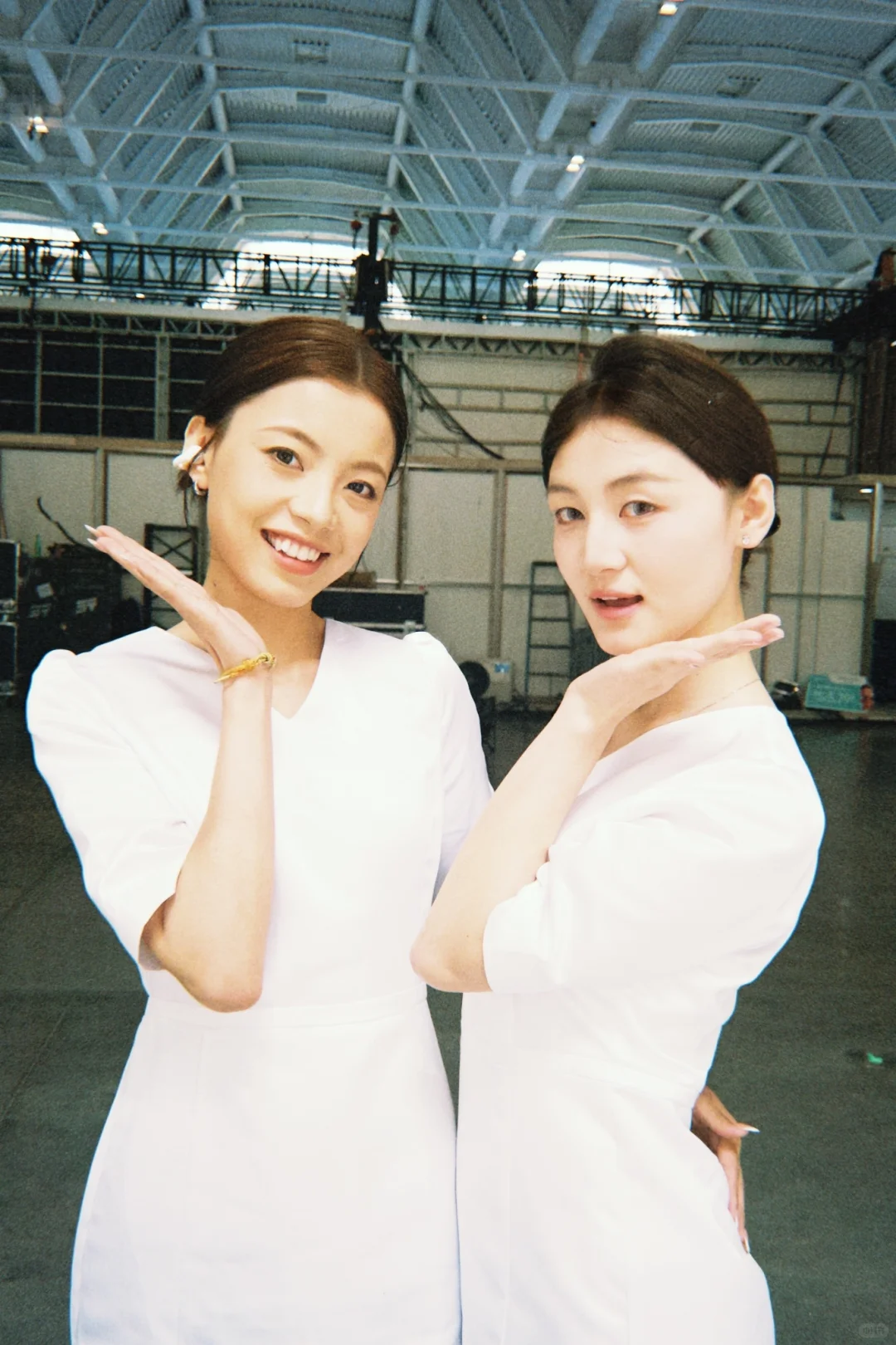 天津会展礼仪狗都不