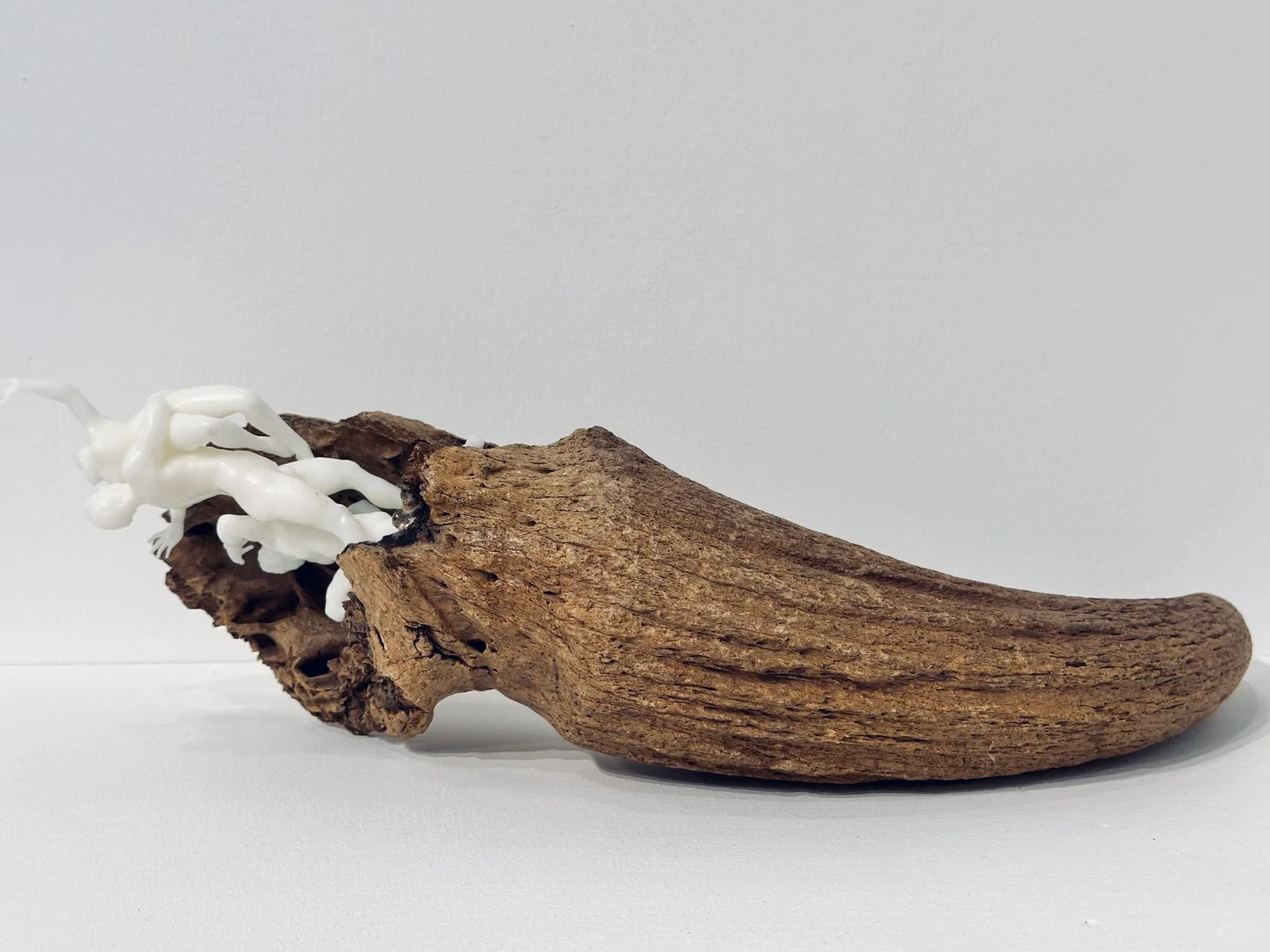 《北京當代藝術博覽會》群星薈萃