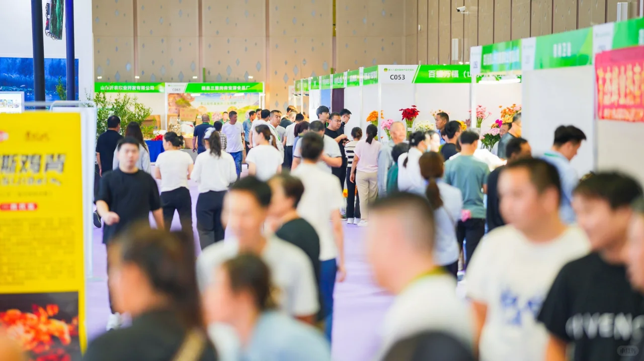 菏泽木博会：将于10月13日至15日盛大举办