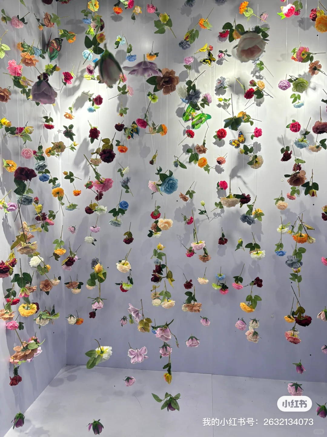 怎么会有这么美的展！?✨✨