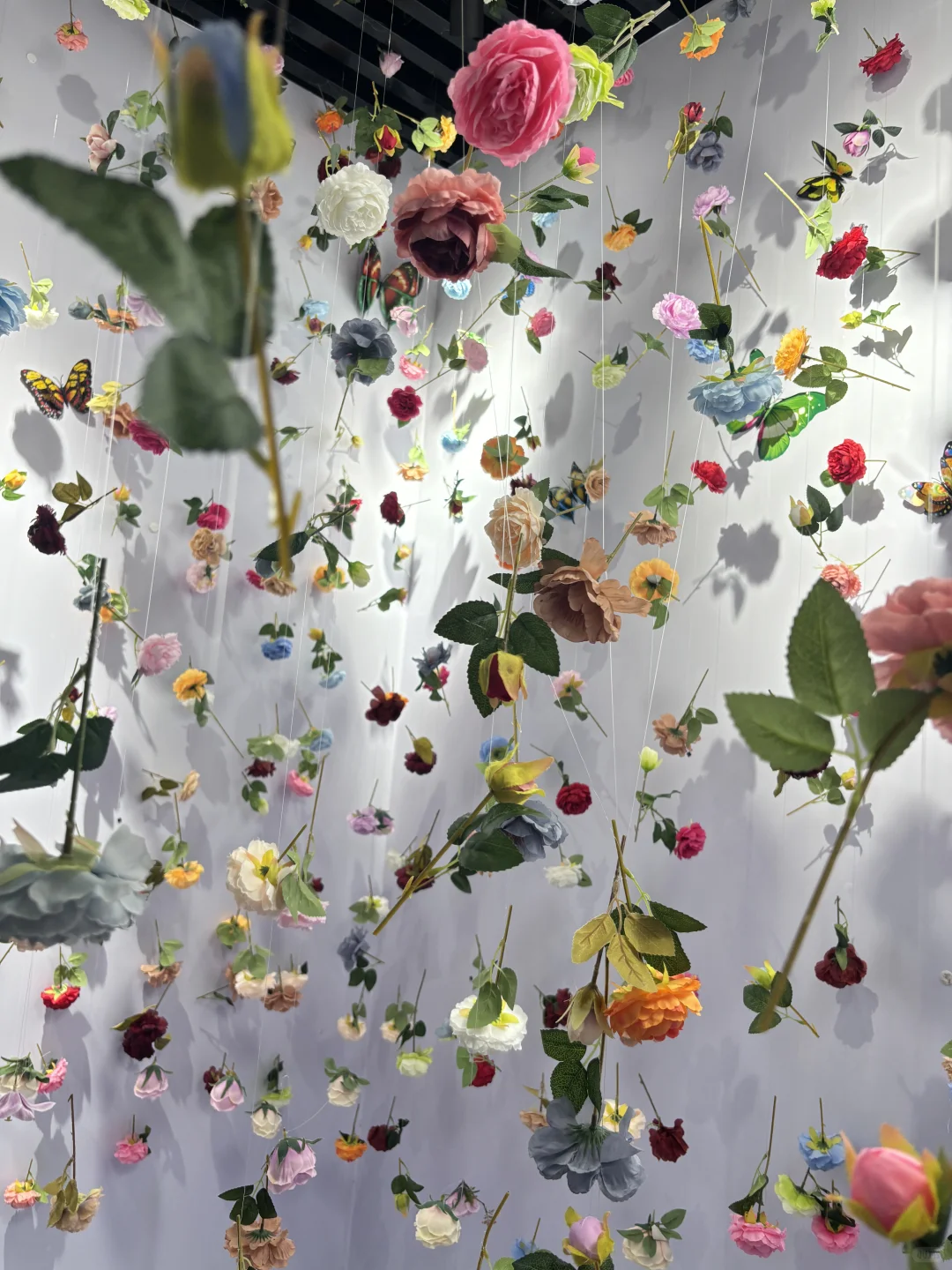 怎么会有这么美的展！?✨✨