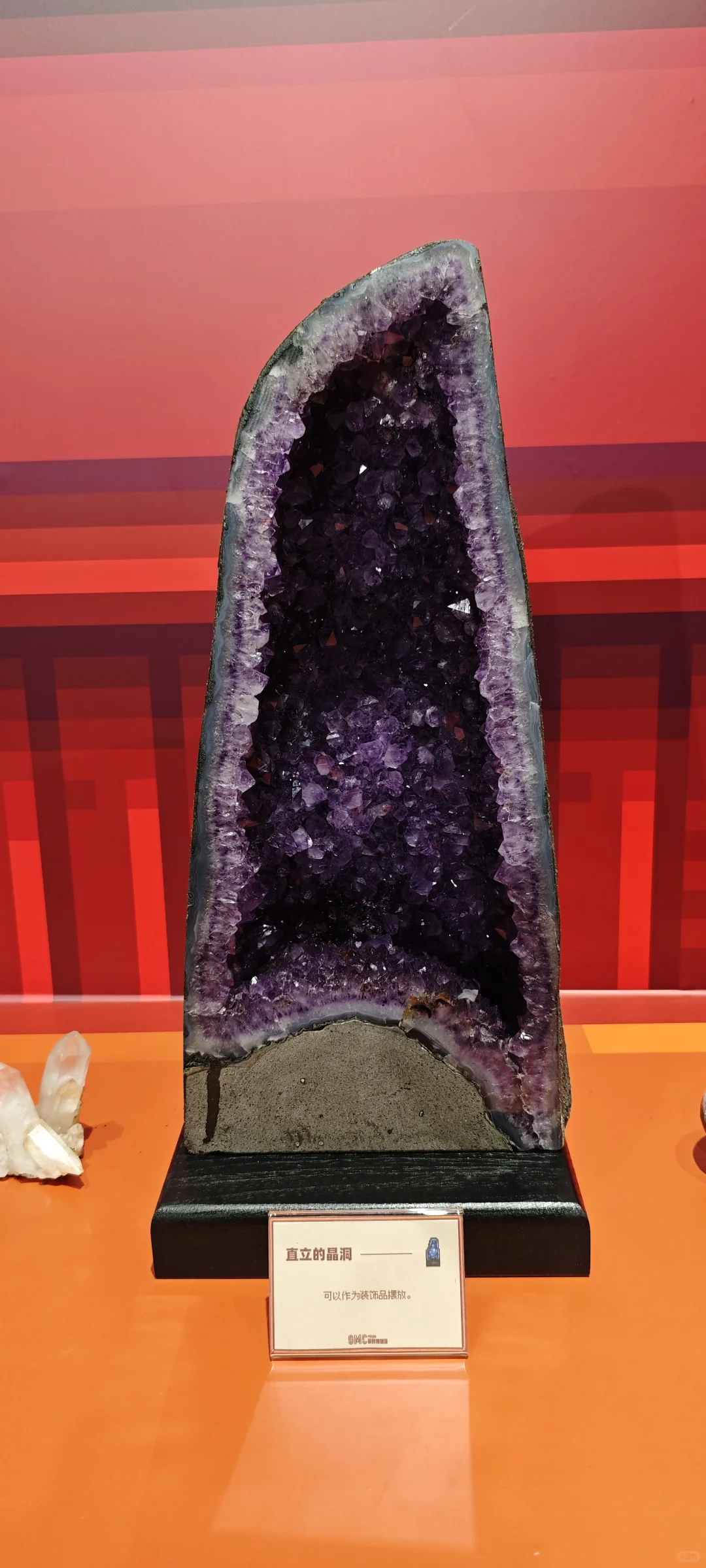 打卡星露谷物语博物馆展览会