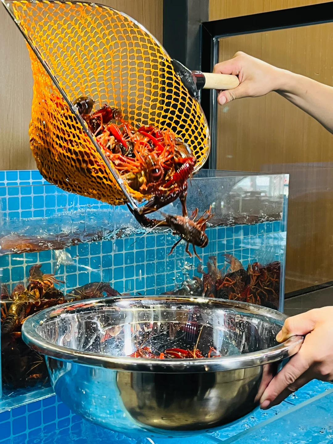 乌鲁木齐会展新开！！快来吃啊啊啊！！！！